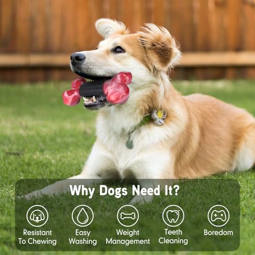 2 Pack Tough Dog Toys for Aggressive Chewers (2 PC-Bacon-Black)