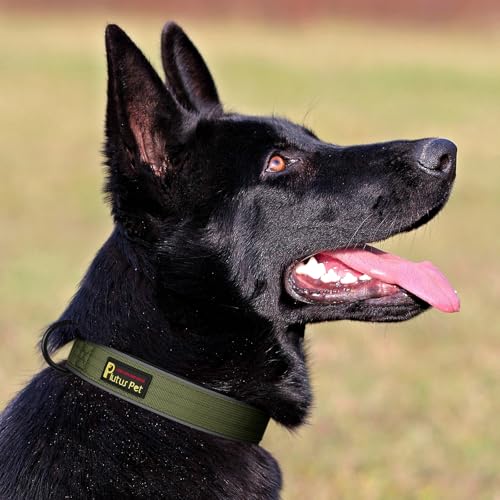 Tactical Dog Collar (XS / Ranger Green)