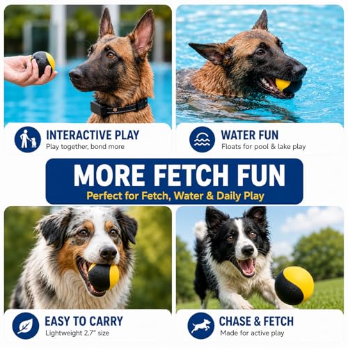 Squeaky Balls for Dogs (YellowBlack)