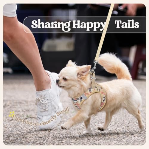 Dog Harness Small Sized and Leash Set (Beige Plaid / S (chest: 15.1 - 16.5"))