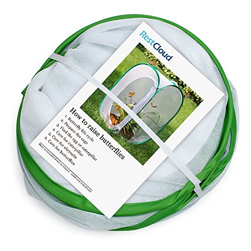Insect and Butterfly Habitat Cage Terrarium Pop (White With Green / 15.7 x 15.7 x 23.6 inches)