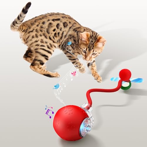 Interactive Dog Cat Toys