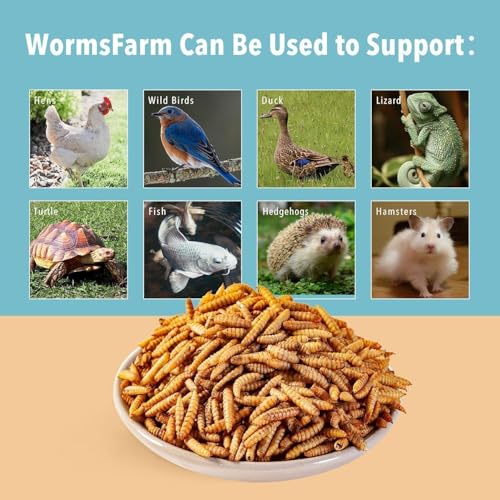 5lb Dried Black Soldier Fly Larvae for Chickens (5 Pound (Pack of 1))