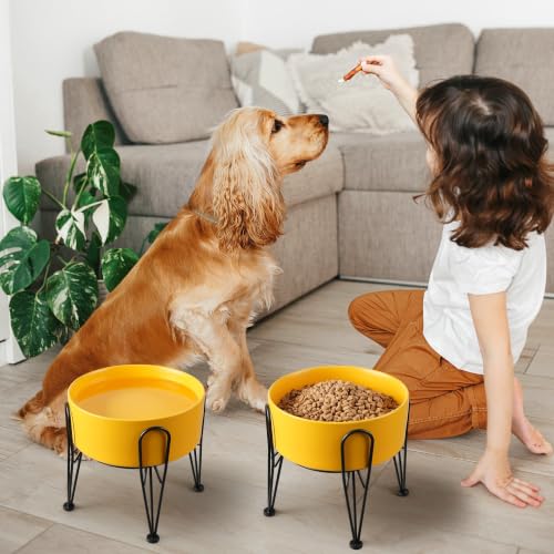 Elevated Dog Bowls (Yellow / 7.6 Cups | 2 Pack | For Large Dogs)