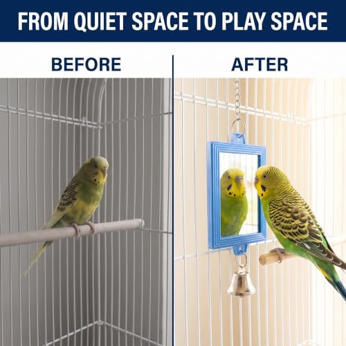 1Pc Random Color Pet Bird Mirror with Bell Interactive Parrot Toys for Budgies Parakeets Conures