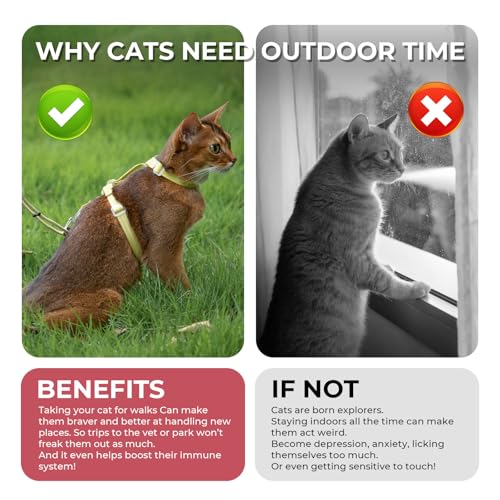 Cat Harness and Leash Set (Red)