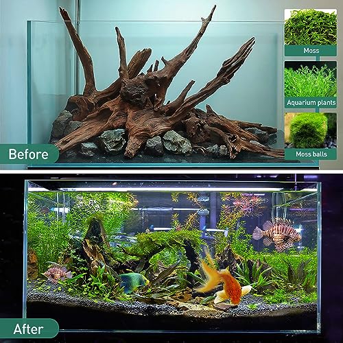 Natural Driftwood for Aquarium Decor (Mopani driftwood (5-8 inch pack of 5))