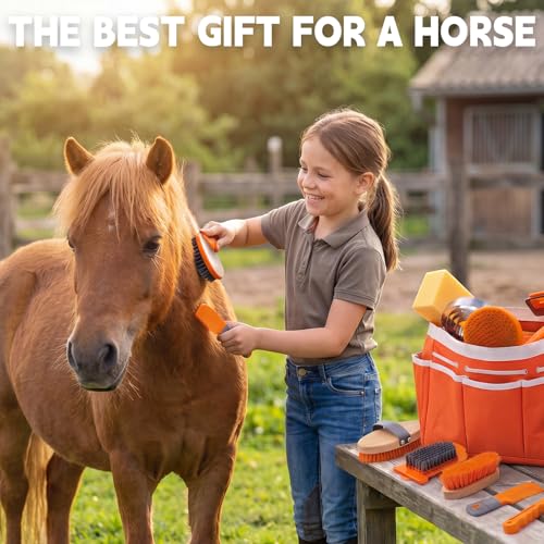 Horse Grooming Kit (Orange)