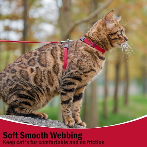 Adjustable Cat Harness and Leash Set Escape Proof Kitten Strap Collar for Walking Travel (Medium / Red)