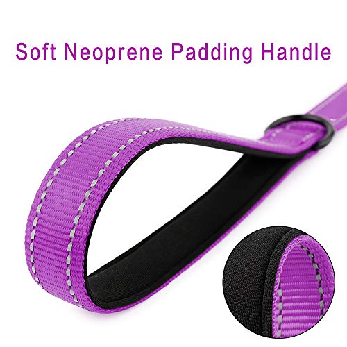 Short Training Dog Leash with Padded Handle for Medium Large Big Dogs (Purple / 18 Inch (Pack of 1))