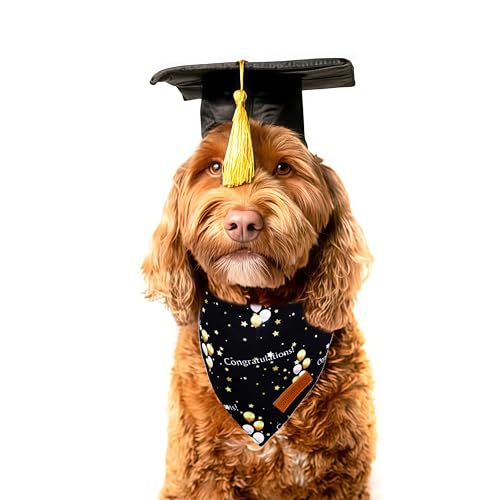 Graduation Dog Bandanas 2 Pack (Graduation / Small)