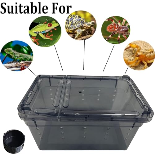 Reptile Enclosure Terrarium 2