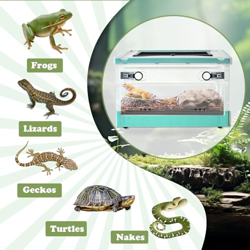 Plastic Reptile Feeding Box with Wheels (【Blue】)