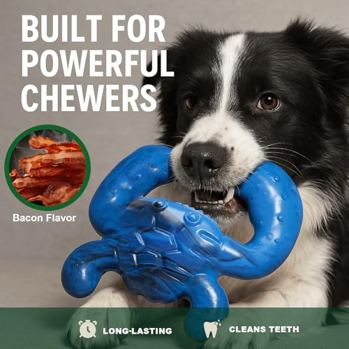 Dog Chew Toys for Aggressive Chewers (Blue Black / Large)