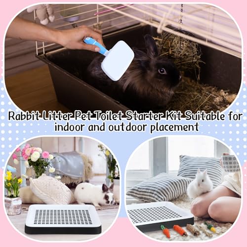 19 Pcs Rabbit Starter Kit Small Bunny Litter Box Rabbit Grooming Kit Water Bottle Bunny Toys Hay Feeder Bowl Blankets with Cleaning Set for Guinea Pig Accessories (Black / Cloud)