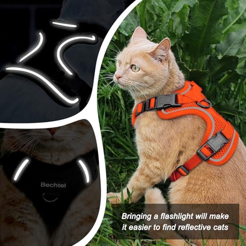 Cat Harness and Leash for Walking (Orange / Small (7-12lb))