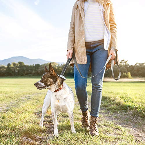 6FT 1IN Heavy Duty Dog Leash for Large Dogs with 2 Padded Handles (Grey / 1 in x 6 ft)