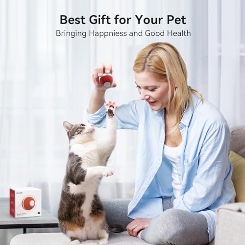 Interactive Cat Ball Toy (Red)