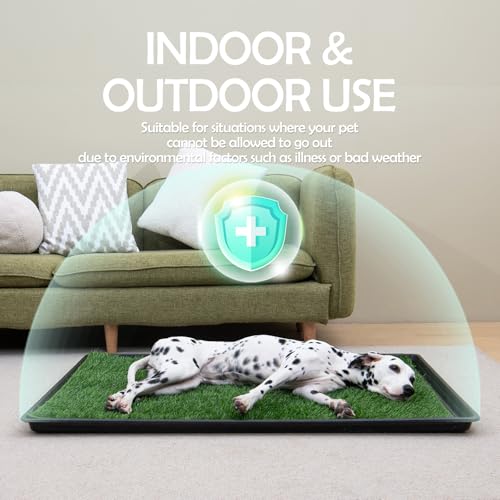 Dog Grass Pee Pads for Dogs with Tray (Medium - 31 x 21 inch)