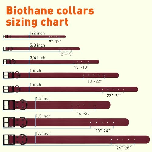 Biothane Waterproof Dog Collar Strong Coated Nylon Webbing with Black Hardware Odor