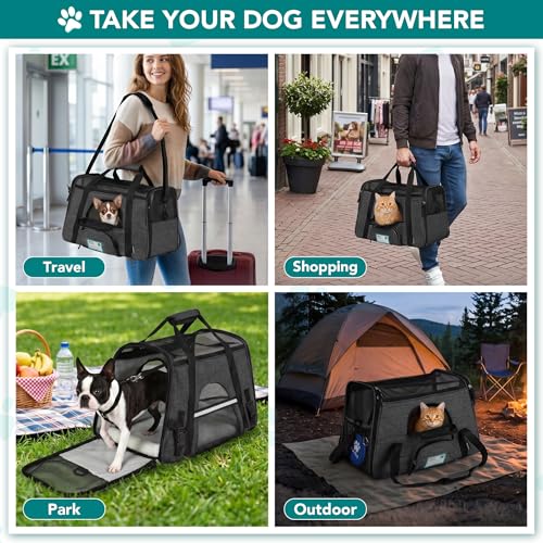 Airline Approved Pet Carrier Cats Small Dogs (Charcoal / 19.5"L x 10.2"W x 12.0"H)