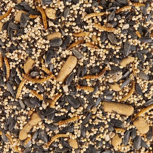 Wild Bird Food (Spring Migration)