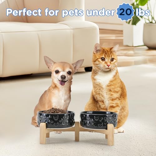Elevated Dog Bowls Ceramic (5.1 in - 1.7 cups / Black- Skull)