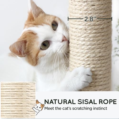 63in Sturdy Large Cat Tree for Indoor Heavy Cats (Black / 63in)