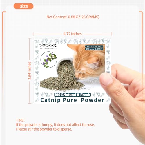 Premium Catnip for Cats & Kittens (25g)