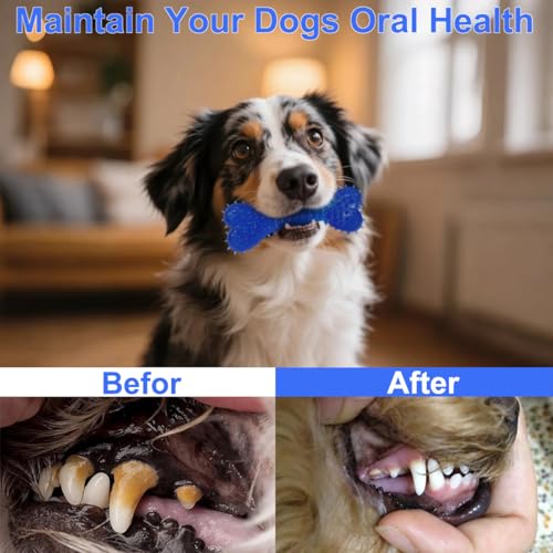 Dog Toys 15 Pack for Teeth Cleaning and Fun (Blue)