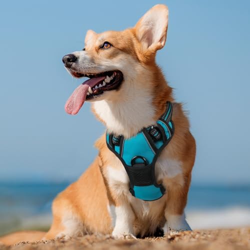 Dog Harness No Pull Medium Sized with 2 Leash Clips (Medium / Teal)