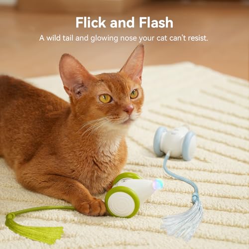 Interactive Cat Toys for Indoor Cats (Mouse Neo-Green)