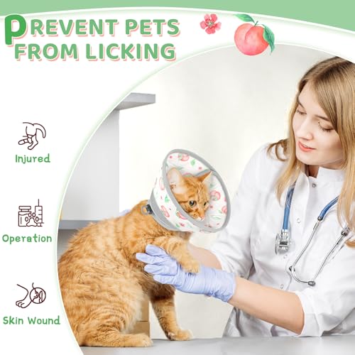 Cat Cone Collar Soft to Stop Licking (PinkWhite / S)