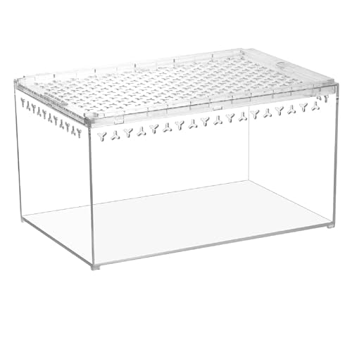 Tarantula Enclosure Spider Terrarium Hermit Crab Tank Large (L-Only Terrarium)