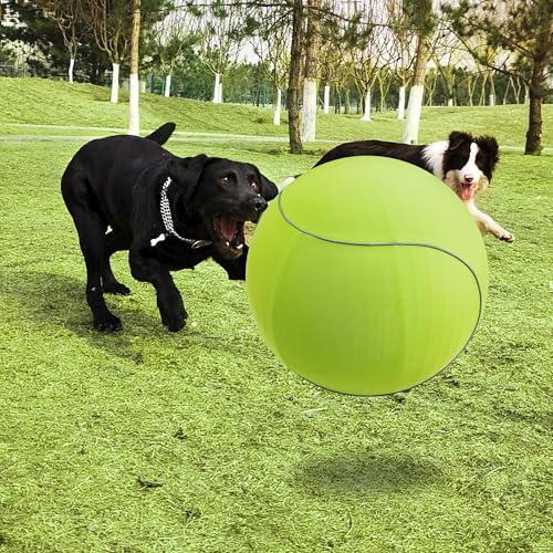 25" Herding Ball for Dogs & Horses with Green Nylon Cover (25 inches)