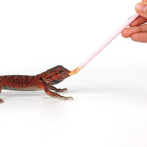 2Pcs Pink Reptile Feeding Spoon