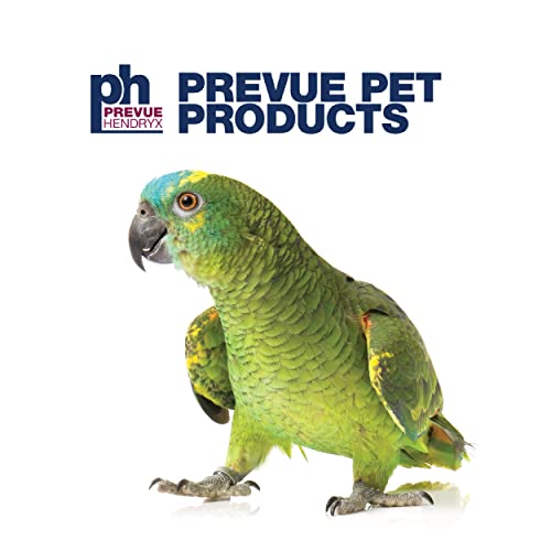 Parrot Play Stand with Wheels (Large)