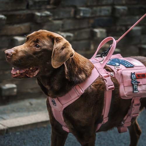 Service Dog Vest Harness (M / Pink)