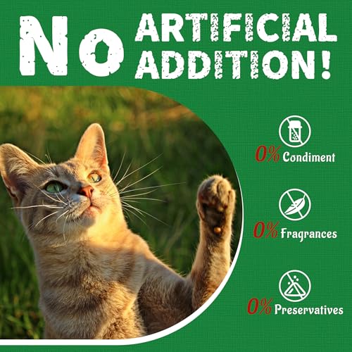 36 OZ Cat Grass Treats for Indoor Cats Hairball Control (2.25 Pound (Pack of 1))
