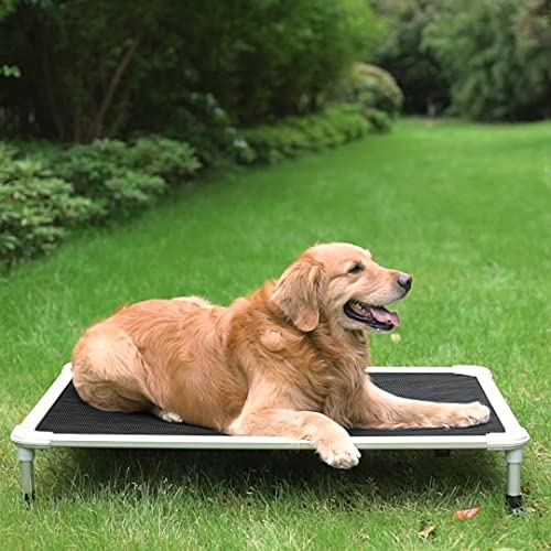 Chew Proof Elevated Dog Bed (Black Silver / 42.0"L x 30.0"W x 7.0"Th)