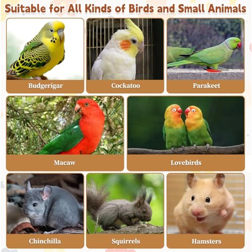 Bird Wood Platform Parrot Perch Stand Parakeet Playground Cage Corner Shelf for Conures Budgies Parakeets Cockatiels Lovebirds 3Pcs (6.3x2.5in,3PCS)