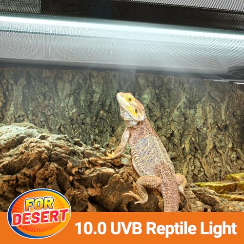 T5 HO Reptile Light Fixture UVB Lighting Combo Kit (24 Watts)
