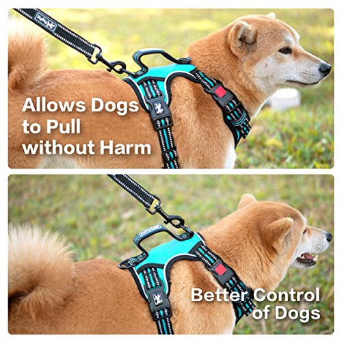 No Pull Dog Harness with 3 Leash Clips and Vertical Handle (Large / Mint Blue)