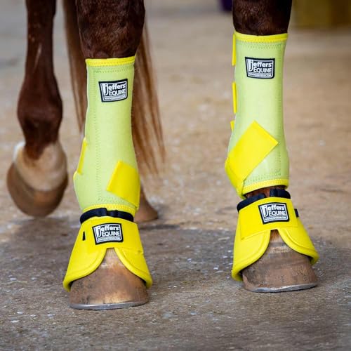 Expression Protective Horse Boots (Yellow / Large)