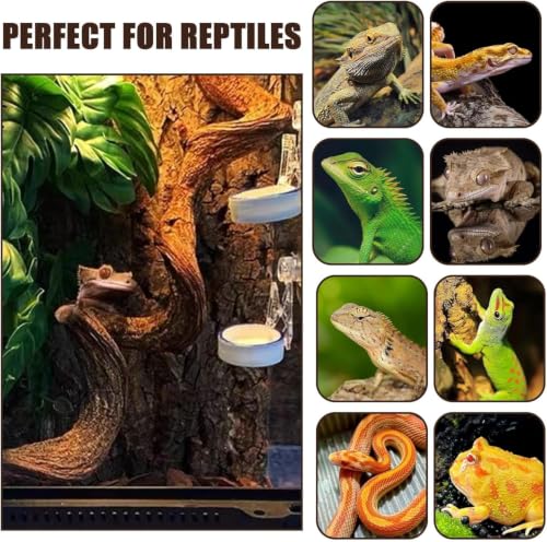 2PCS Natural Reptile Climbing Branches Decor (2PCS|S:0.75-1.25"D,13"L)