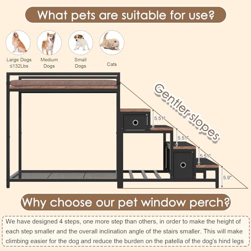 Pet Bunk Bed with Removable Stairs and 2 Drawers (Brown+Black)