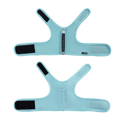 Cat Harness and Leash Set for Walking Escape Proof (Turquoise / XL 11-20 lbs)