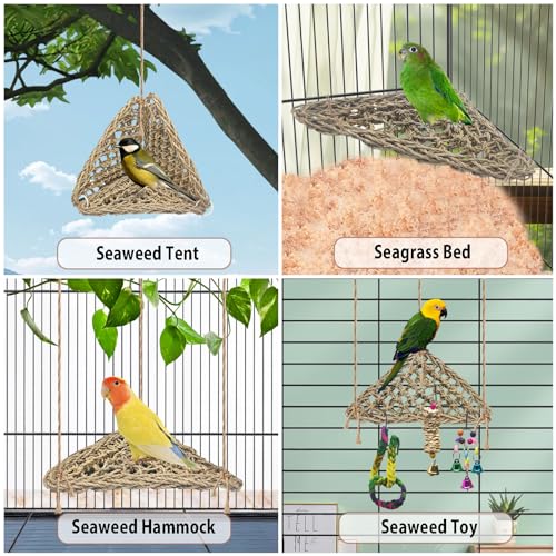 3 PCS Parrot Seagrass Mat
