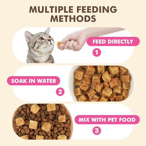 Freeze Dried Salmon Treats for Dogs & Cats (6 Ounce (Pack of 1))