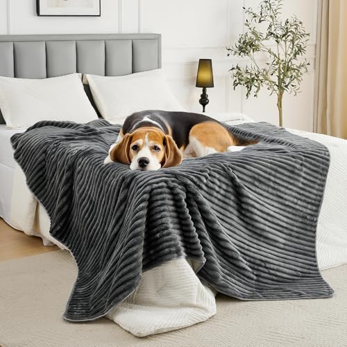 Flannel Washable Pee Pad for Dogs (Dark Grey / 72" X 72"-1PC)